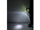 Stablampe "ANIMAL-LIGHT"