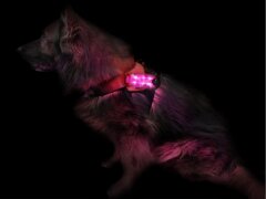 Leucht-Hundegeschirr "Flex" M LEDs: Pink