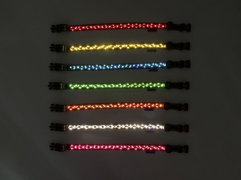 Leucht-Hundehalsband Beauty 2.1