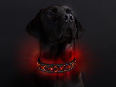 Leucht-Hundehalsband "Beauty" 2.1