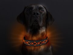 Leucht-Hundehalsband "Beauty" Orange M