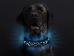 Leucht-Hundehalsband "Beauty" Blau L