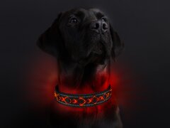 Leucht-Hundehalsband "Beauty" Rot L