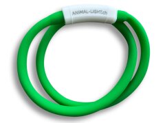 Leucht-Halsriemen "Flex" 150 cm Grün USB-A