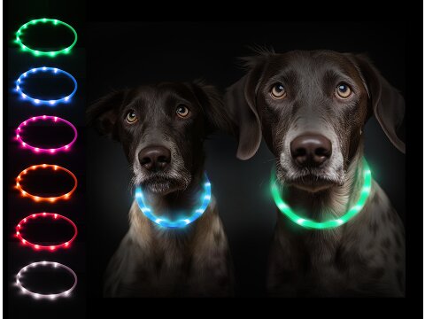 Leucht-Hundehalsband "Flex" 70 cm Blau