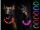 Leucht-Hundehalsband "Flex" 70 cm Rot