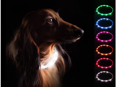 Leucht-Hundehalsband "Flex" 70 cm Weiss