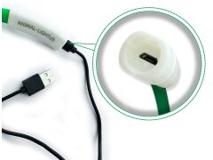 Leucht-Hundehalsband "Flex" 70 cm Weiss USB-A
