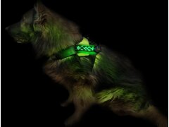 Leucht-Hundegeschirr "Beauty" M Pink