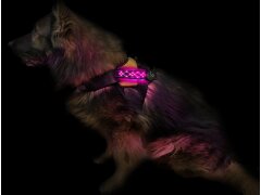 Leucht-Hundegeschirr "Beauty" M Gelb