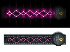 Leucht-Hundegeschirr "Beauty" M Gelb