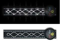 Leucht-Hundegeschirr "Beauty" M Gelb