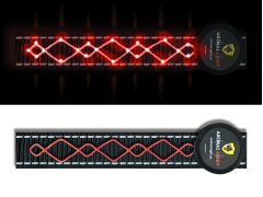 Leucht-Hundegeschirr "Beauty" M Gelb