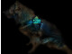 Leucht-Hundegeschirr "Beauty" L Blau