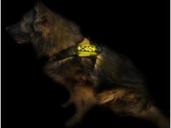 Leucht-Hundegeschirr "Beauty" M Blau