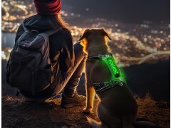 Hundegeschirr NIGHT-TRAIL XXS - LED Grün 10.5 cm