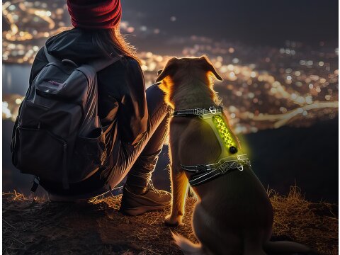 Hundegeschirr NIGHT-TRAIL XXS - LED Gelb 10.5 cm