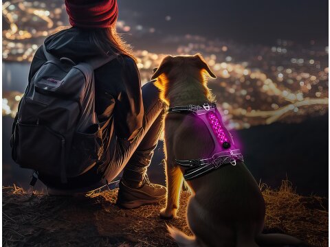 Hundegeschirr NIGHT-TRAIL XL - LED Pink 18 cm