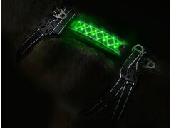 Hundegeschirr NIGHT-TRAIL XS- LED Grün 13 cm