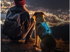 Hundegeschirr NIGHT-TRAIL XXL - LED Gelb 18 cm
