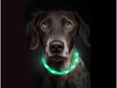 Leucht-Hundehalsband "Flex" 70 cm USB-C Grün