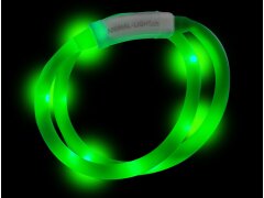 Leucht-Hundehalsband "Flex" 70 cm USB-C Orange