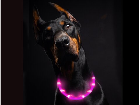 Leucht-Hundehalsband "Flex" 70 cm Pink USB-A