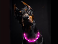 Leucht-Hundehalsband "Flex" 70 cm Pink USB-A