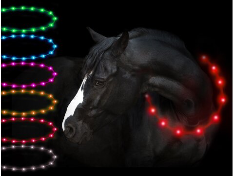 Leucht-Halsriemen "Flex" 150 cm Rot USB-A