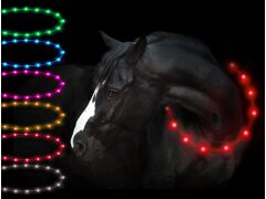 Leucht-Halsriemen "Flex" 150 cm Rot USB-A