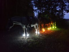 Leucht-Gamasche 2.0