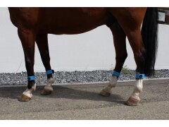 Leucht-Gamasche Cob Blau 2.0