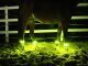 Leucht-Gamasche Cob Lemon 2.0