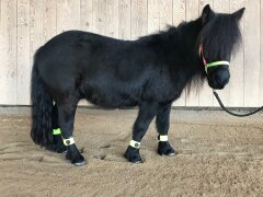 4 Leucht-Gamaschen Cob Blau 2.0