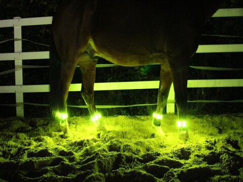 4 Leucht-Gamaschen Cob Lemon 2.0