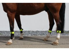 4 Leucht-Gamaschen Cob Lemon 2.0