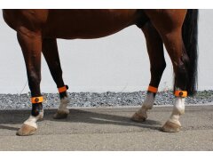 4 Leucht-Gamaschen Cob Rot 2.0