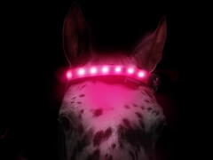 Leucht-Stirnband Pink