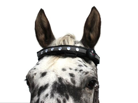 Leucht-Stirnband schwarz / weisse LEDs 2.0
