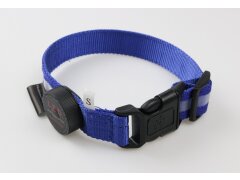 Leucht-Hundehalsband "Cash" Blau M 2.0