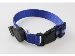 Leucht-Hundehalsband "Cash" Blau L 2.0