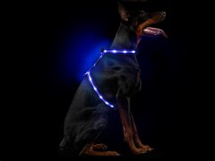 Leucht-Hundegeschirr "Ninja" Blau M 2.0