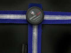 Leucht-Hundegeschirr "Ninja" Blau M 2.0