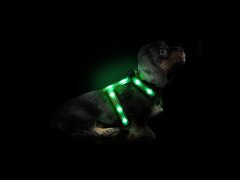 Leucht-Hundegeschirr "Ninja" Grün S 2.0