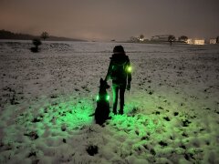 Leucht-Hundegeschirr "Flex" S LEDs: Grün 2.0