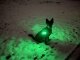 Leucht-Hundegeschirr "Flex" S LEDs: Grün