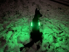 Leucht-Hundegeschirr "Flex" S LEDs: Weiss