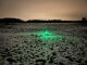 Leucht-Hundegeschirr "Flex" M LEDs: Grün 2.0