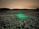 Leucht-Hundegeschirr "Flex" M LEDs: Grün