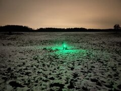 Leucht-Hundegeschirr "Flex" M LEDs: Blau